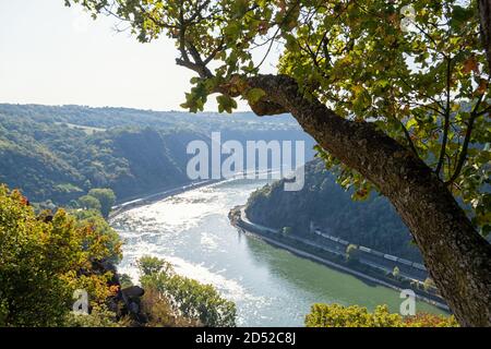 Blick auf den Rhein vom Loreley-Felsen Stockfoto