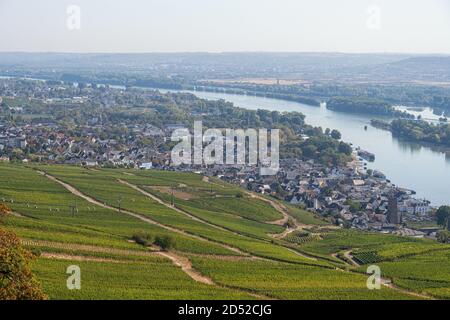 Blick vom Niederwalddenkmal auf Rüdesheim am Rhein Stockfoto