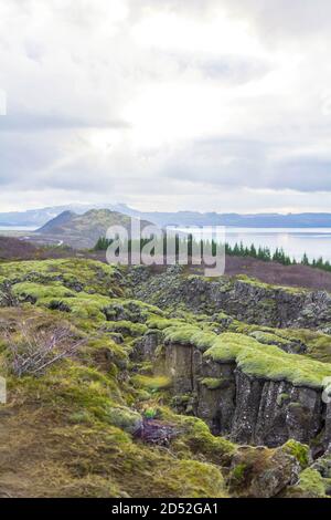 Eine moosige Schlucht davor, hinten ein großer See, ein kleiner Wald und ein Berg, berührt von Sonnenlicht und Wolken in Thingvellir, Island. Stockfoto