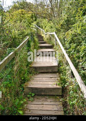 In der Nähe von Ravenscar auf dem Cleveland Way National Trail führen Holztreppen Wanderer einen Hügel hinauf Stockfoto
