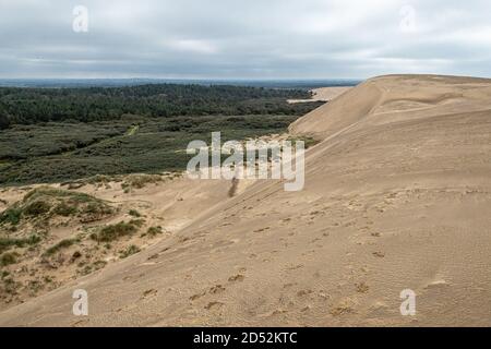 Dünen an der Küste von Dänemark Stockfoto