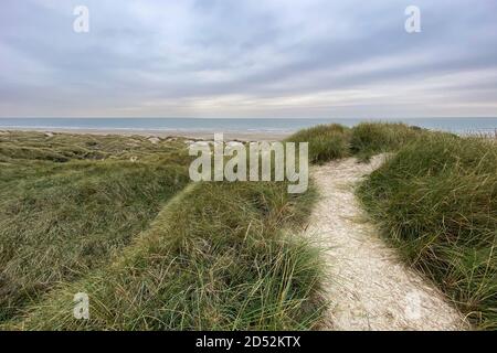 Dünen an der Küste von Dänemark Stockfoto