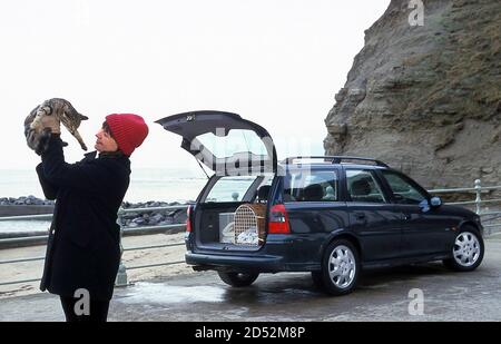 Vauxhall Vectra V6 Kombi 2000 Stockfoto