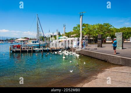 LAUSANNE, SCHWEIZ - 19. JULI 2019: Schwäne im Hafen von Lausanne. Losanna ist Hauptstadt und größte Stadt des Kantons Waadt, am Ufer des Genesees Stockfoto