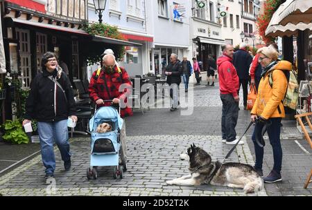 Kleiner Hund trifft großen Hund in Ahrweiler, Rheinland-Pfalz, Deutschland, Europa Stockfoto