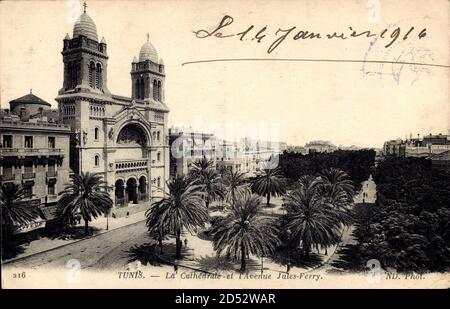 Tunis Tunesien, La Cathedrale et l'Avenue Jules Ferry, Palmen, Fassade - weltweite Nutzung Stockfoto