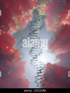 DNA- und Proteininteraktion auf molekularer Ebene. DNA-bindende Proteine steuern Transkription, Genexpression etc. Basierend auf wissenschaftlichen Daten aus dem PDB Stockfoto