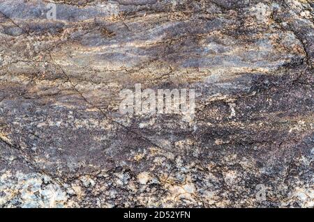 Seestein Textur, Naturstein Hintergrund Stockfoto