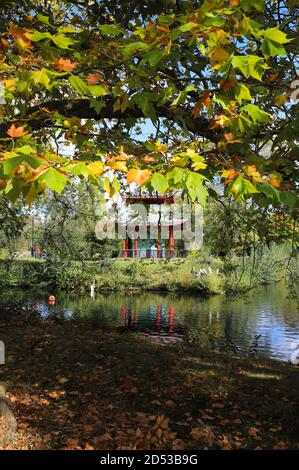 Die Pagode im Victoria Park, im Herbst, in Hackney, East London, Großbritannien Stockfoto