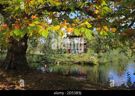Die Pagode im Victoria Park, im Herbst, in Hackney, East London, Großbritannien Stockfoto