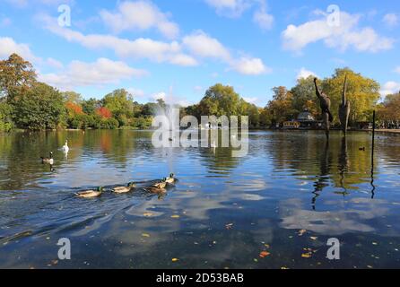 Herbstfarben rund um den West Boating Lake und Pavilion Cafe, in Hackney, East London, Großbritannien Stockfoto