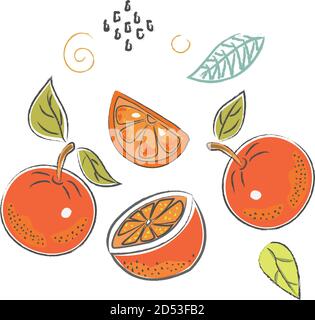 Cute Symbol mit Orangen. Hand gezeichnet, im skandinavischen Stil. Vector Illustration Stock Vektor