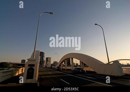 Brisbane, QLD, Australien - 3. Januar 2020 : William Jolly Bridge bei Sonnenuntergang. Die Brücke ist eine denkmalgeschützte Straßenbrücke über den Brisbane River Stockfoto