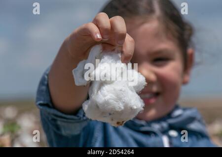 Daphne Salinas, 4 Jahre alt, spielt mit einem frisch gepflückten baumwollboll während der Baumwollernte auf der Schirmir Farm am 23. August 2020 in Batesville, Texas. Stockfoto