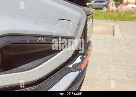 Insekten auf dem Auto auf dem Stoßfänger Lackierung. Stockfoto