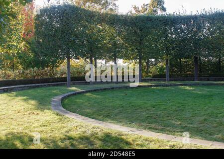 Park mit grünen Rasen, Bäumen, Hecken, getrimmten Büschen im Herbst. Modernes Landschaftsdesign. Stockfoto
