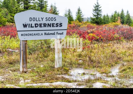 Bunte rote Büsche Laub und Schild Wegweiser im Herbst In Bear Rocks in Dolly Sods Wilderness in West Virginia In Monongahela National Forest Pa Stockfoto
