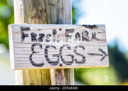 Ländliche Landschaft Zeichen für frische Bauernhof Eier Richtungsanschrift in Englisch für Landesser Stockfoto