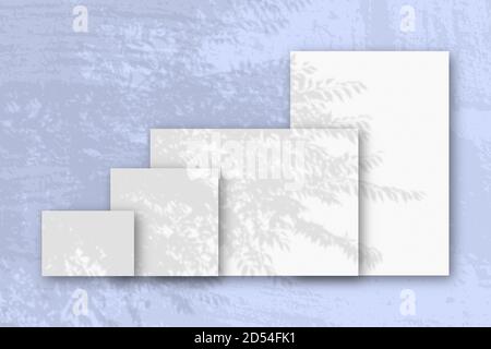 Mehrere horizontale und vertikale Blätter aus weißem strukturiertem Papier vor einem blauen Wandhintergrund. Mockup mit einer Überlagerung von Pflanzenschatten. Tageslicht Stockfoto