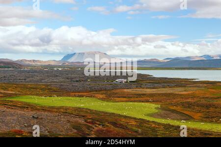 Ländliche Landschaft in der Nähe des Lake Myvatn. Der Berg der Tischplatte befindet sich im Hintergrund. Island Stockfoto