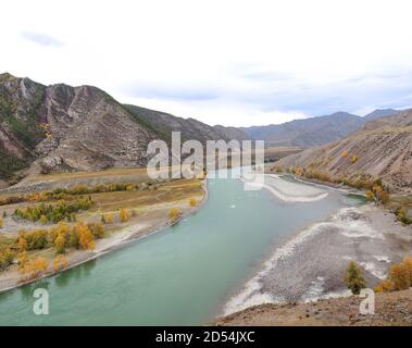 Ein schneller, turbulenter türkisfarbener Fluss fließt durch ein herbstlich von Berggipfeln umgebenes Tal. Katun, Altai, Sibirien, Russland. Stockfoto