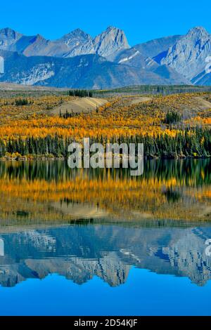 Eine wunderschöne Herbstszene der bunten Blätter entlang der Ufer auf dem Singrin Ridge, der sich in den Gewässern von Talbot spiegelt see mit der Miette Range in Ja Stockfoto