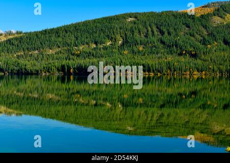 Eine schöne Herbstszene der Nadelbäume entlang der Küste auf Sinstrigge Ridge und dem Fuß des Cinquefoil Berg, spiegelt sich in den stillen Gewässern von Stockfoto