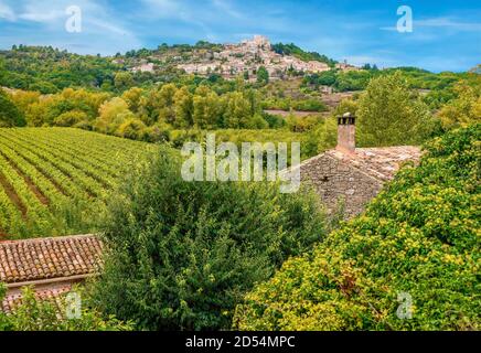 Ein Blick auf die traditionellen alten französischen Bauernhäuser und Weinberge in der malerischen Region Luberon der Provence und das hoch gelegene Dorf Lacoste. Stockfoto