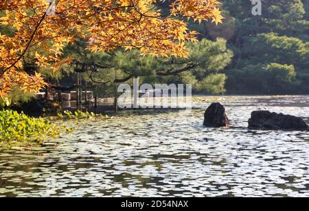 Rot gefärbte Herbstblätter von japanischem Ahorn (momiji) über dem Wasser des Seiho-ike Teiches am East Shin-en Garten des Heian-jingu Shrine. Kyoto. Japan Stockfoto