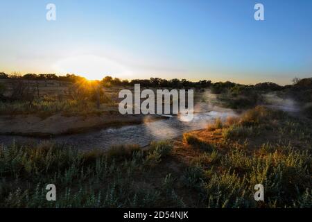 Cacoory Bore und sein dampfendes 85C heißes Wasser bei Sonnenaufgang, in der Nähe von Birdsville, Queensland, QLD, Australien Stockfoto