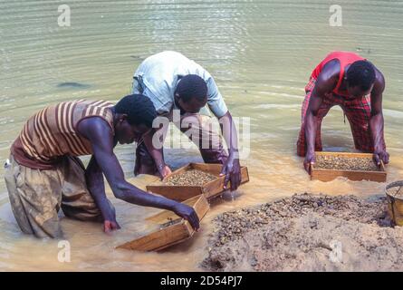 Tortiya, Elfenbeinküste, Elfenbeinküste. Sifting Stream Gravel auf der Suche nach Diamanten. Stockfoto