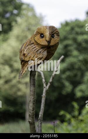 KINGS LYNN, VEREINIGTES KÖNIGREICH - Aug 06, 2019: Eine geschnitzte Eule in den Gooderstone Water Gardens in der Nähe von Kings Lynn, Norfolk Stockfoto