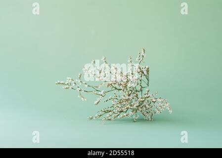 Bouquet von getrockneten Blumen auf mintfarbenem Hintergrund, floraler Minimalismus, selektiver Fokus Stockfoto
