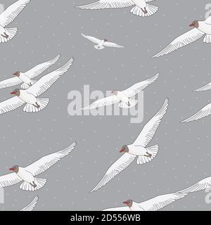 Nahtloses Muster mit Vogelmöwen auf grauem Hintergrund. Stockfoto