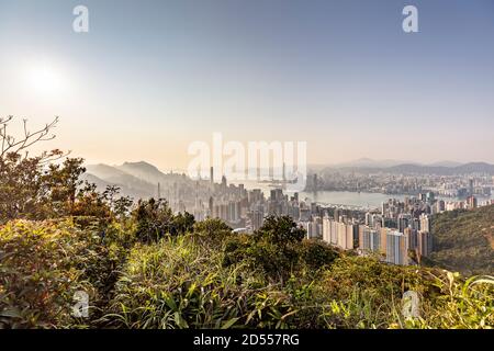 Blick über die Skyline von Hongkong vom Jardines Lookout, in der Nähe von Mt Butler auf Hong Kong Island. Stockfoto