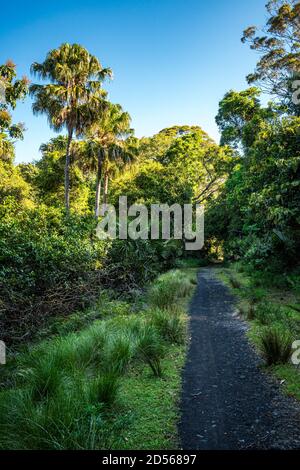 Mount Kembla Ring Track Stockfoto