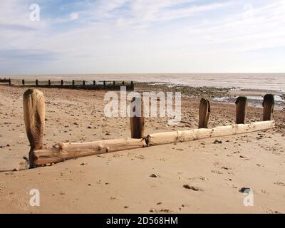 Abgenutzte Holzpfeiben am Strand Stockfoto