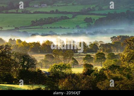 Chipping, Preston, Lancashire, Großbritannien. Oktober 2020. Ein schöner Start in den Tag mit der Morgensonne, die die Herbstfarben und den Nebel in Chipping, Preston, Lancashire, Großbritannien, aufleuchtet. Kredit: John Eveson/Alamy Live Nachrichten Stockfoto