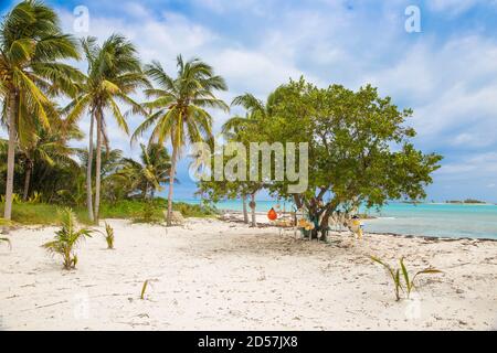 Bahamas, Abaco Islands, Green Turtle Cay, New Plymouth, Strand Stockfoto