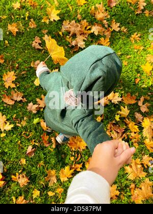 Baby in grüner Kleidung mit Kapuzenpullover mit Pompon auf dem Boden mit herbstlich gelb gefallenen Blättern und Mutterhand haltend. Erste Schritte. Oben aufgenommen Stockfoto