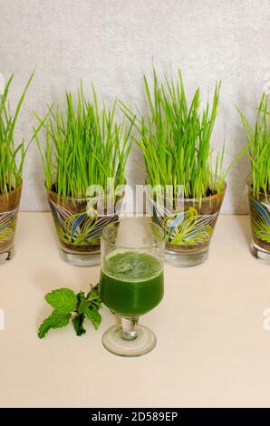 Weizengras, Triticum aestivum Pflanze eine super potente Gesundheit Lebensmittel. In der Regel als frischer Saft konsumiert. Glas mit frischem Saft im Vordergrund Stockfoto