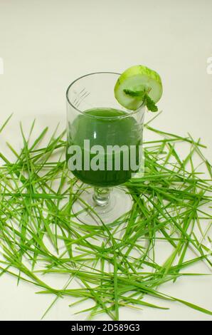 Weizengras, Triticum aestivum Pflanze eine super potente Gesundheit Lebensmittel. Glas mit frischem Saft im Vordergrund Minzblätter und Gurkenscheibe auf dem Stockfoto