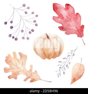 Handgezeichnet Aquarell Herbstblätter, Kürbis und Beeren isoliert auf weißem Hintergrund. Herbstclipart. Illustration für Einladungen, Grußkarten, diy Stockfoto