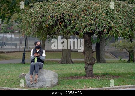 Eine ältere asiatische amerikanische Frau sitzt auf einem großen Felsen, während sie ihr Handy benutzt. In einem Park in Flushing, Queens, New York City. Stockfoto