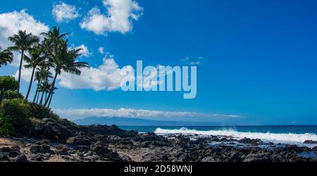 Palmen entlang felsiger Strandküste, Hawaii, USA Stockfoto