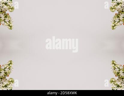 Blumen, visuelle Wirkung eines Spiegels, Raum für Texteingabe, abstrakte Tapete, voller Farben, seltsame Ornamente und Formen, Hintergrund mit schönen Geo Stockfoto