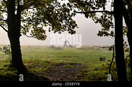 Brighton UK 13. Oktober 2020 - EIN Hundespaziergang am Morgen Herbstnebel am Devils Dike nördlich von Brighton als trockeneres, eher sesshaftes Wetter wird für später in der Woche in ganz Großbritannien prognostiziert : Credit Simon Dack / Alamy Live News Stockfoto