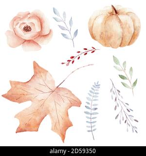 Handbemalte Herbst- und Grünblätter, Kürbis, Blume. Cliparts-Set mit Aquarellfarben. Grafische Illustration Design-Elemente auf weißem Hintergrund isoliert. Stockfoto