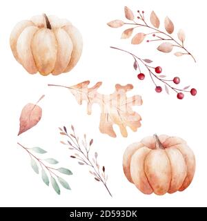 Aquarell Herbst Kürbisse, Blätter und Beeren isoliert auf weißem Hintergrund. Cliparts Set von Herbstelementen. Grafiken für Einladungen, Grußkarten, d Stockfoto