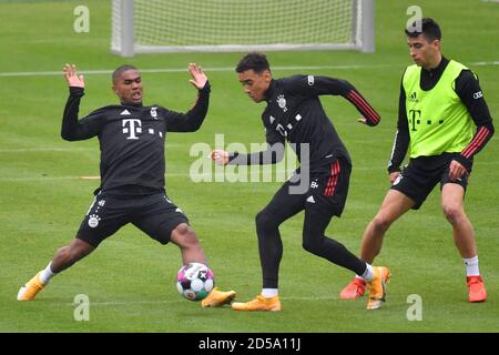 Von links: Douglas COSTA (FC Bayern München) Aktion, Duelle gegen Jamal MUSIALA (FC Bayern München), rechts: Marc ROCA (FC Bayern München). FC Bayern München, Training in der Saebener Straße. Fußball 1. Bundesliga, Saison 2020/2021 am 13. Oktober 2020. Weltweite Nutzung Stockfoto